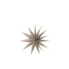 Broste Copenhagen Weihnachtsstern M Venok Fungi Grey Holz Furnier - 40cm