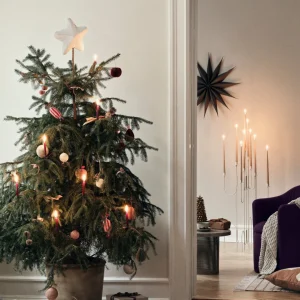 Broste Copenhagen Weihnachtsstern L Venok Fungi grey Holz Furnier - 70cm