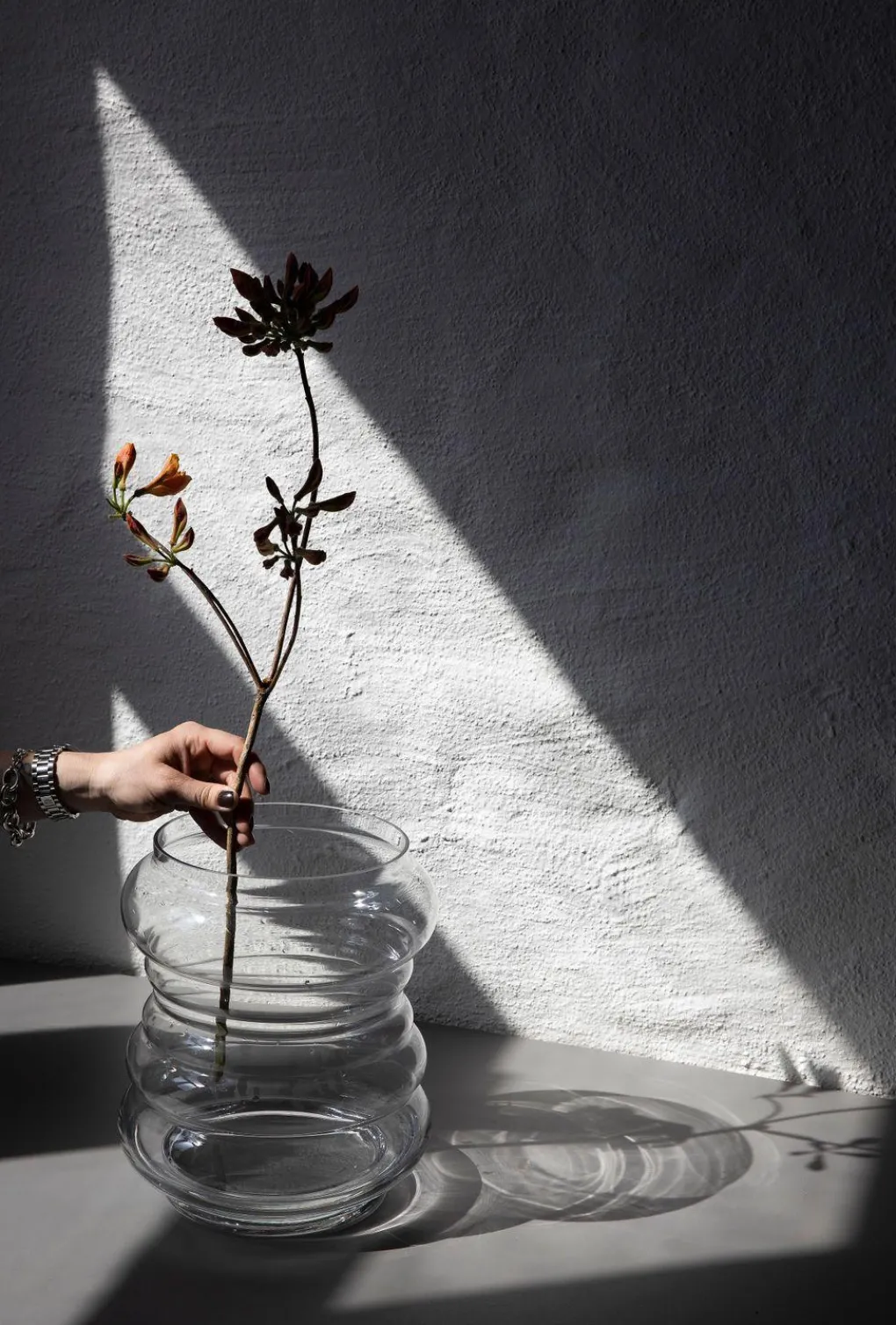 by_on_vase_trixibelle_cle_9.webp By on Vase Trixibelle clear - 30cm